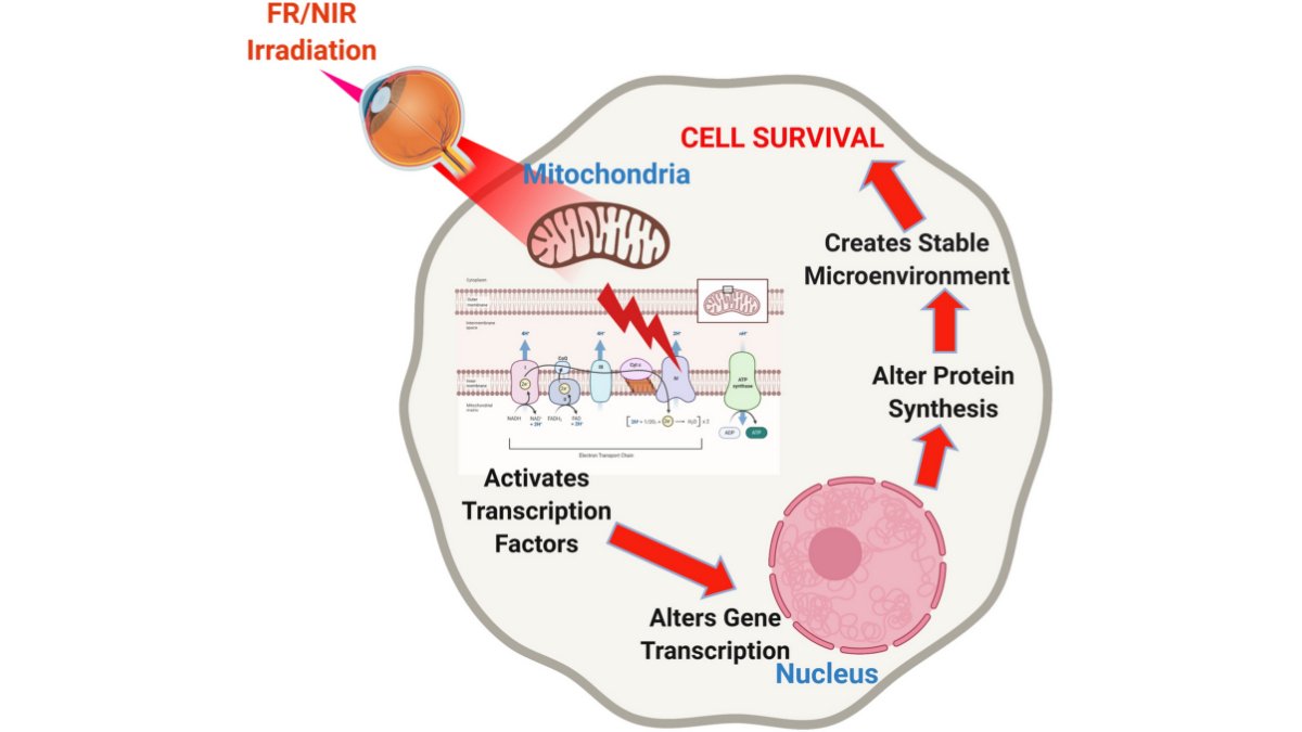 Zdrowie stawów terapią światłem Lumaflex® - leczenie artrozy i bólu stawów