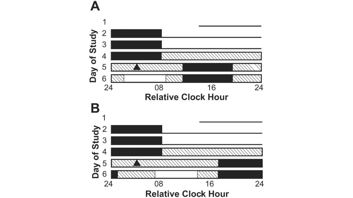 Zdrowie skóry z Lumaflex® - terapia światłem czerwonym w dermatologii