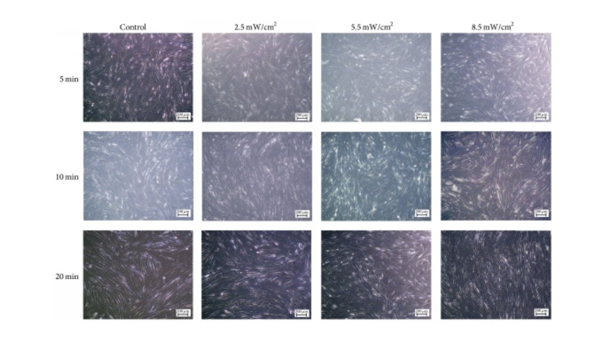 Photobiomodulation Therapy in Chronic Wound Care