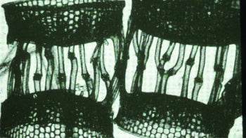 Odmładzanie skóry Lumaflex® - rejuvenacja i fotobiomodulacja w kosmetologii