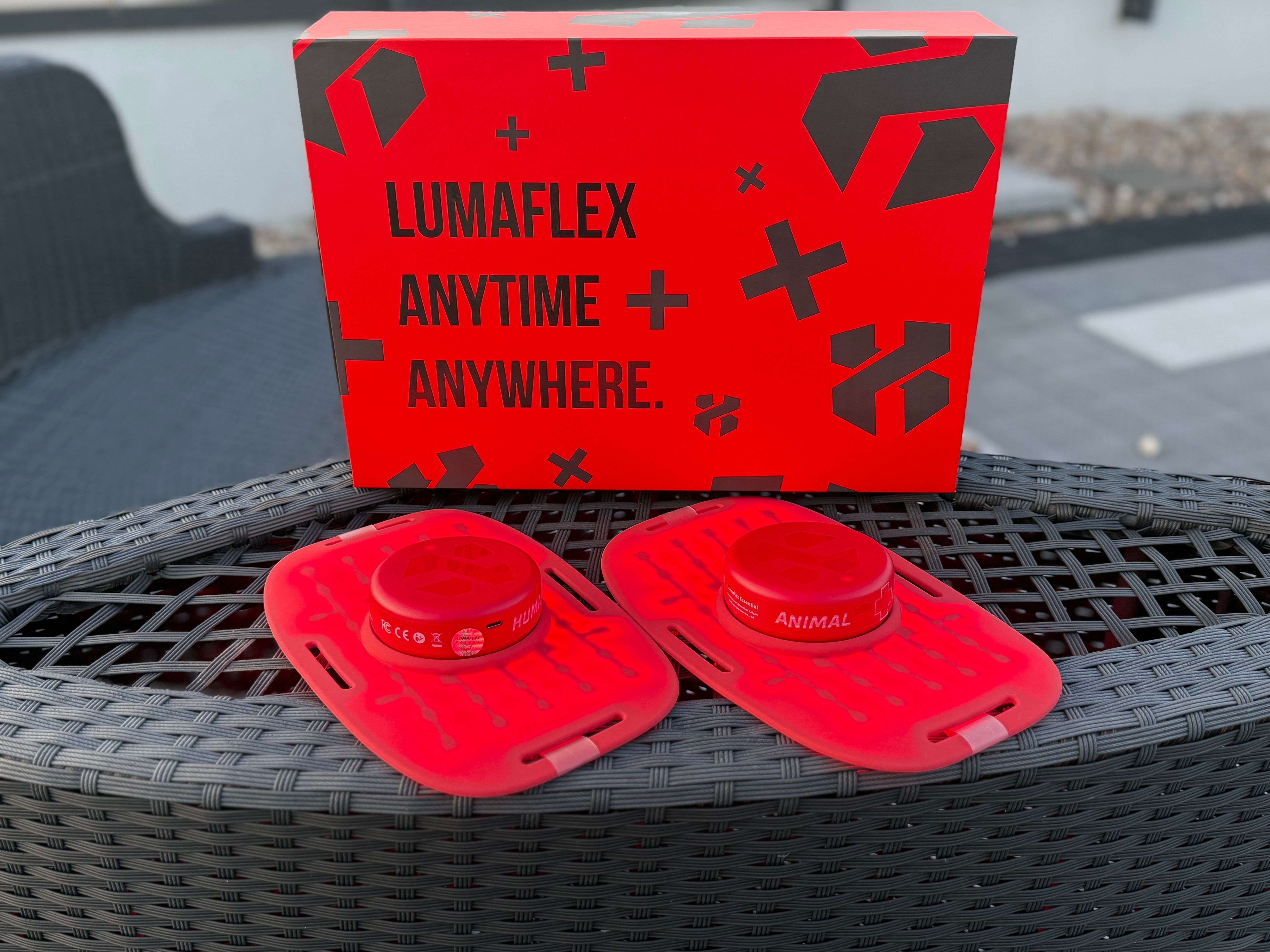 Terapia światła czerwonego dla koni: 7 rzeczy, które warto wiedzieć