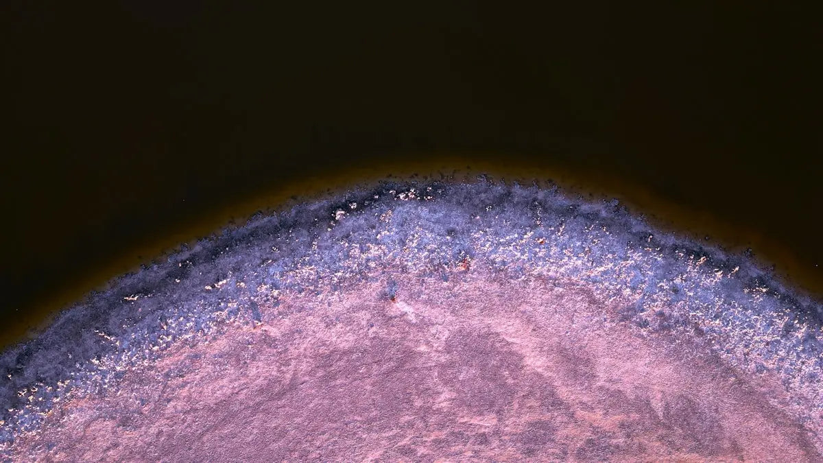 Fotobiomodulacja wspierająca mikrokrążenie - terapia czerwonym światłem Lumaflex
