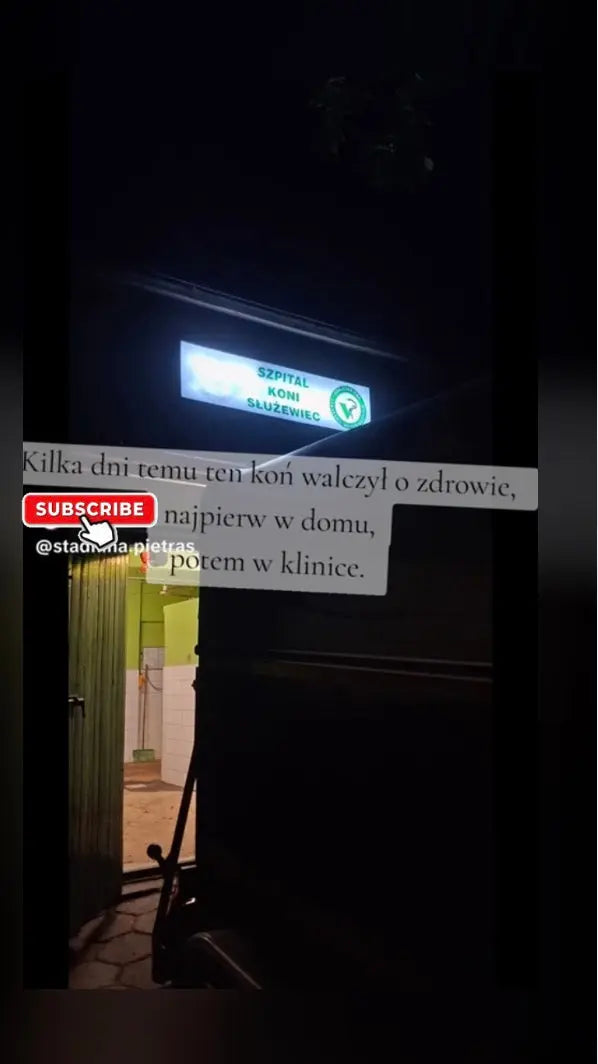 Studium Przypadku: Stadnina Pietras – Lumaflex w Treningu i Regeneracji Koni Lumaflex® Polska