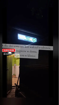 Studium Przypadku: Stadnina Pietras – Lumaflex w Treningu i Regeneracji Koni Lumaflex® Polska