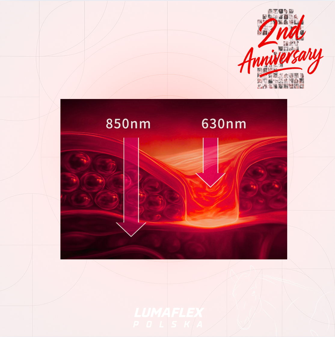 Lumaflex® Essential + Horse - Zestaw  4x panel