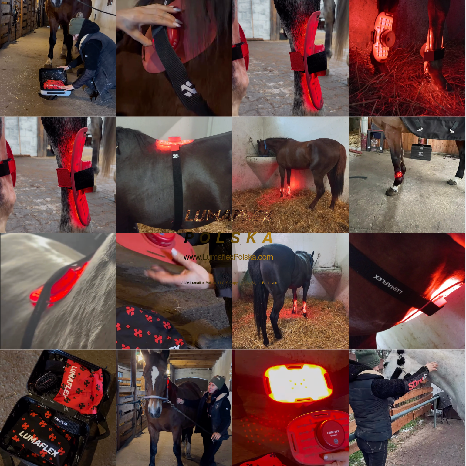 Wypożyczalnia lamp Lumaflex Essential dla koni i zwierząt z kursem