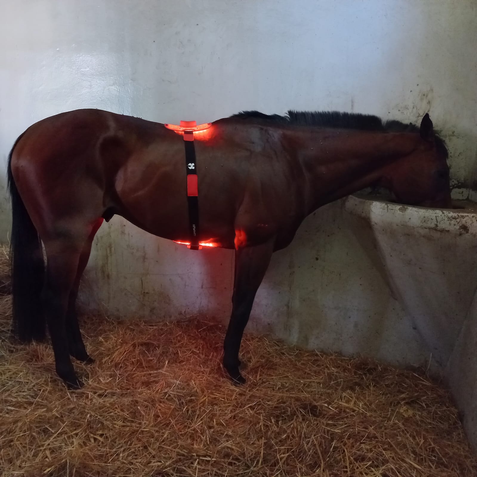 LumaFlex® Essential + Premium Polska - Zestaw Paneli LED + 2x Bonus