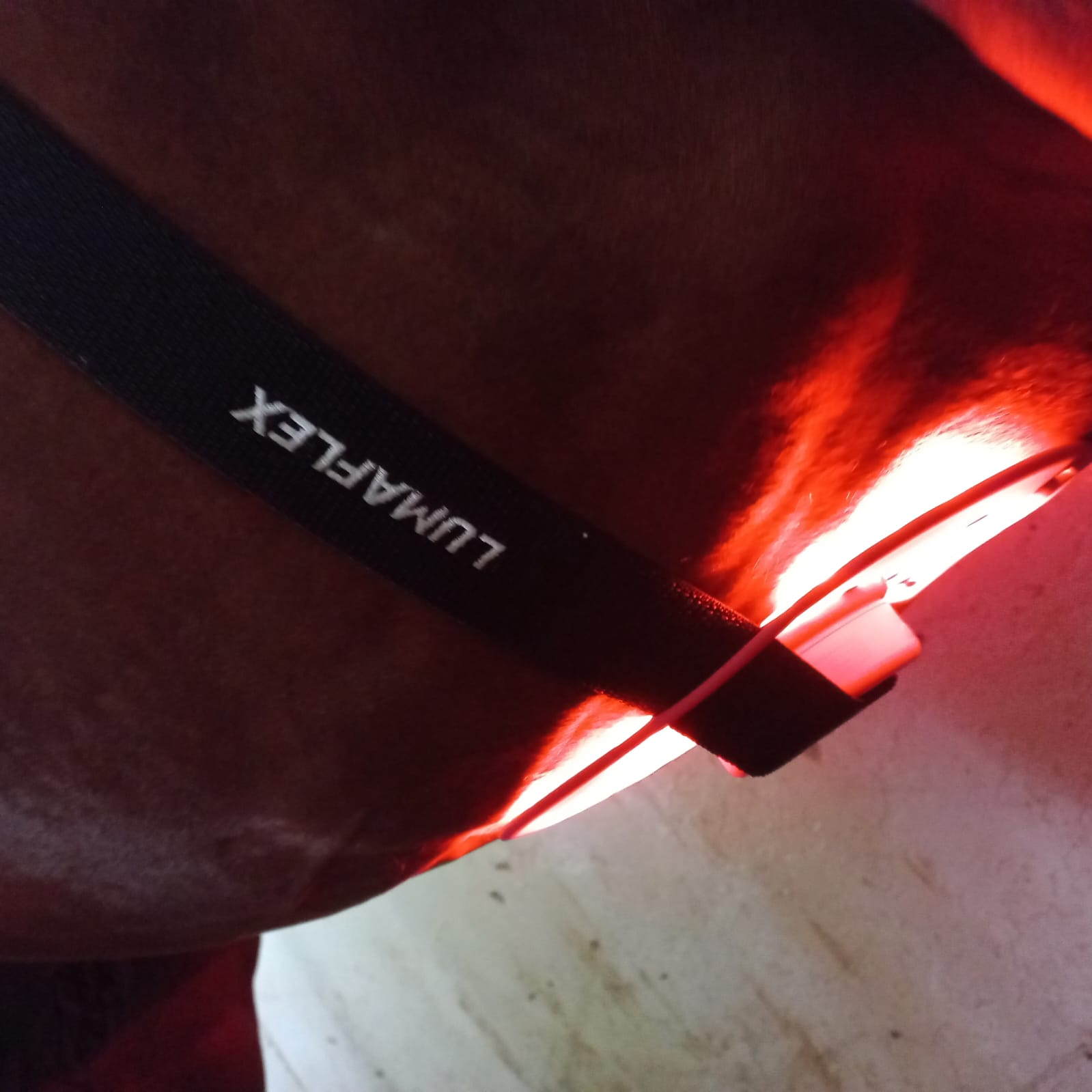 Lumaflex® Essential + Horse - Zestaw  4x panel