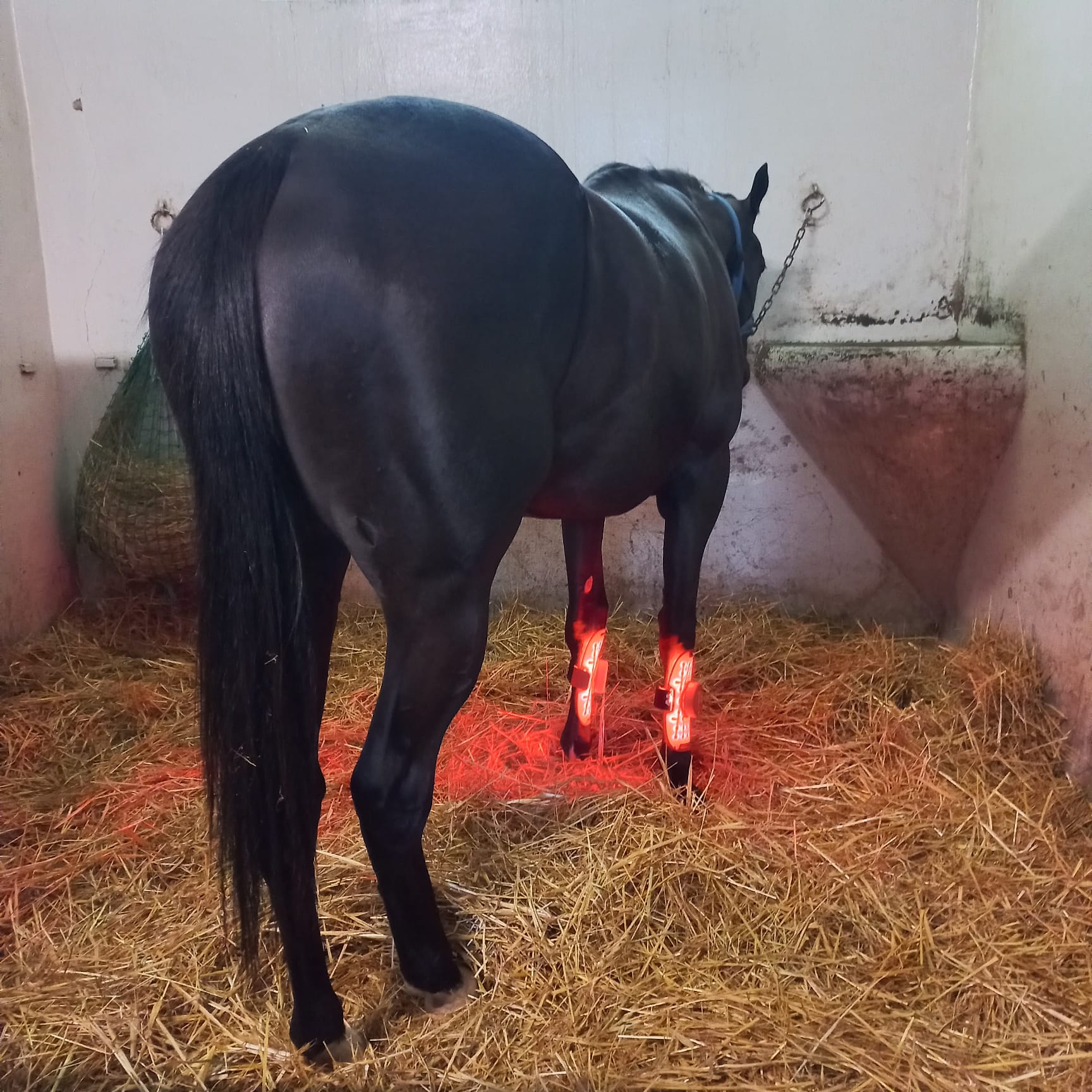 LumaFlex® Essential + Premium Polska - Zestaw Paneli LED + 2x Bonus