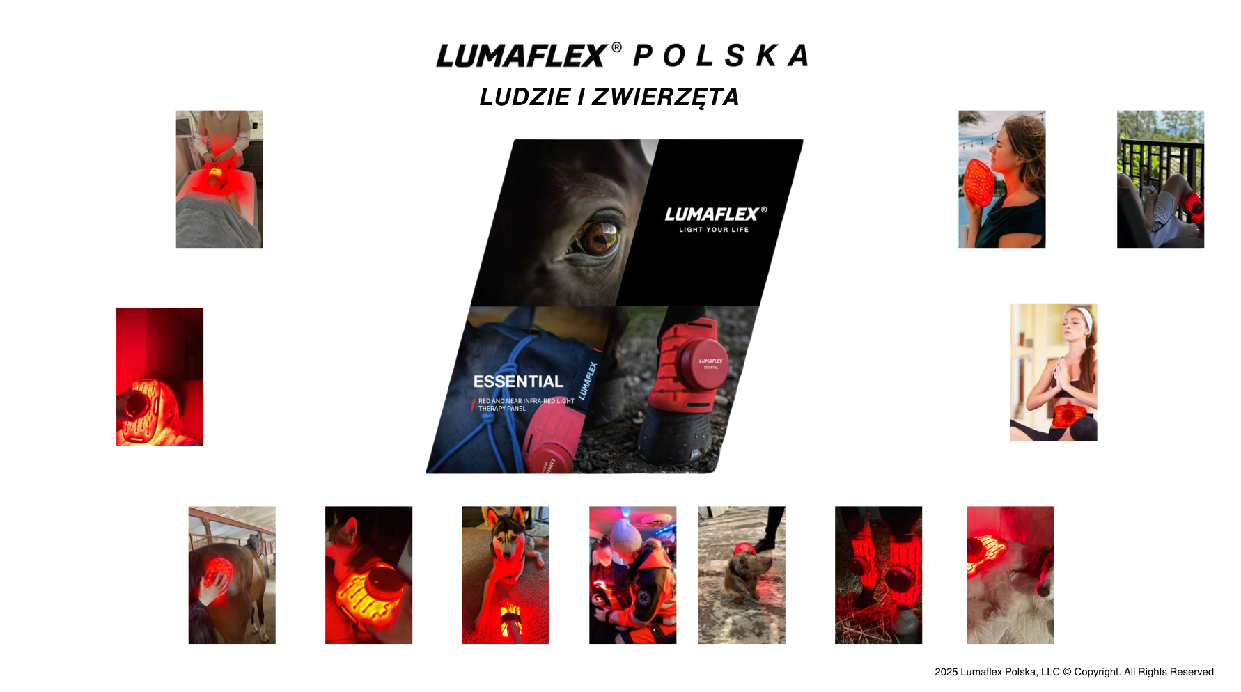 ESSENTIAL Plus 12 sztuk Pakiet Animal pakiet hurtowy B2B