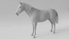 Zastosowanie fotobiomodulacja dla koni praktyczne wskazówki Horse Duo Essential Lumaflex Polska