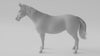 Fotobiomodulacja u koni zestaw Horse Duo  Essential grzbiet i brzuch 